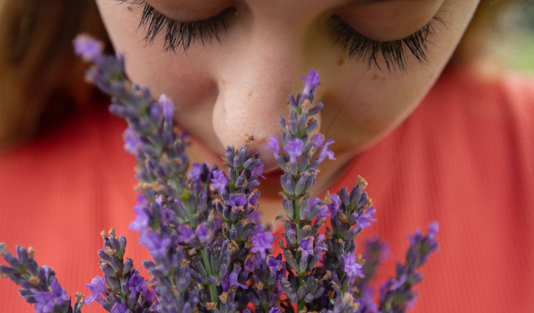 The Center for Aromatherapy Research and Education