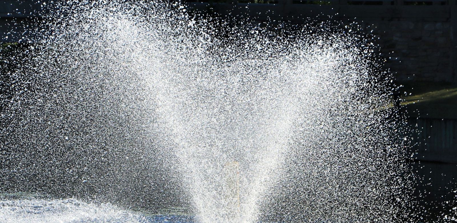 15 years Younger in 24 Days: My Experience at the Ecuador Clinic - Volume 6, Number 3