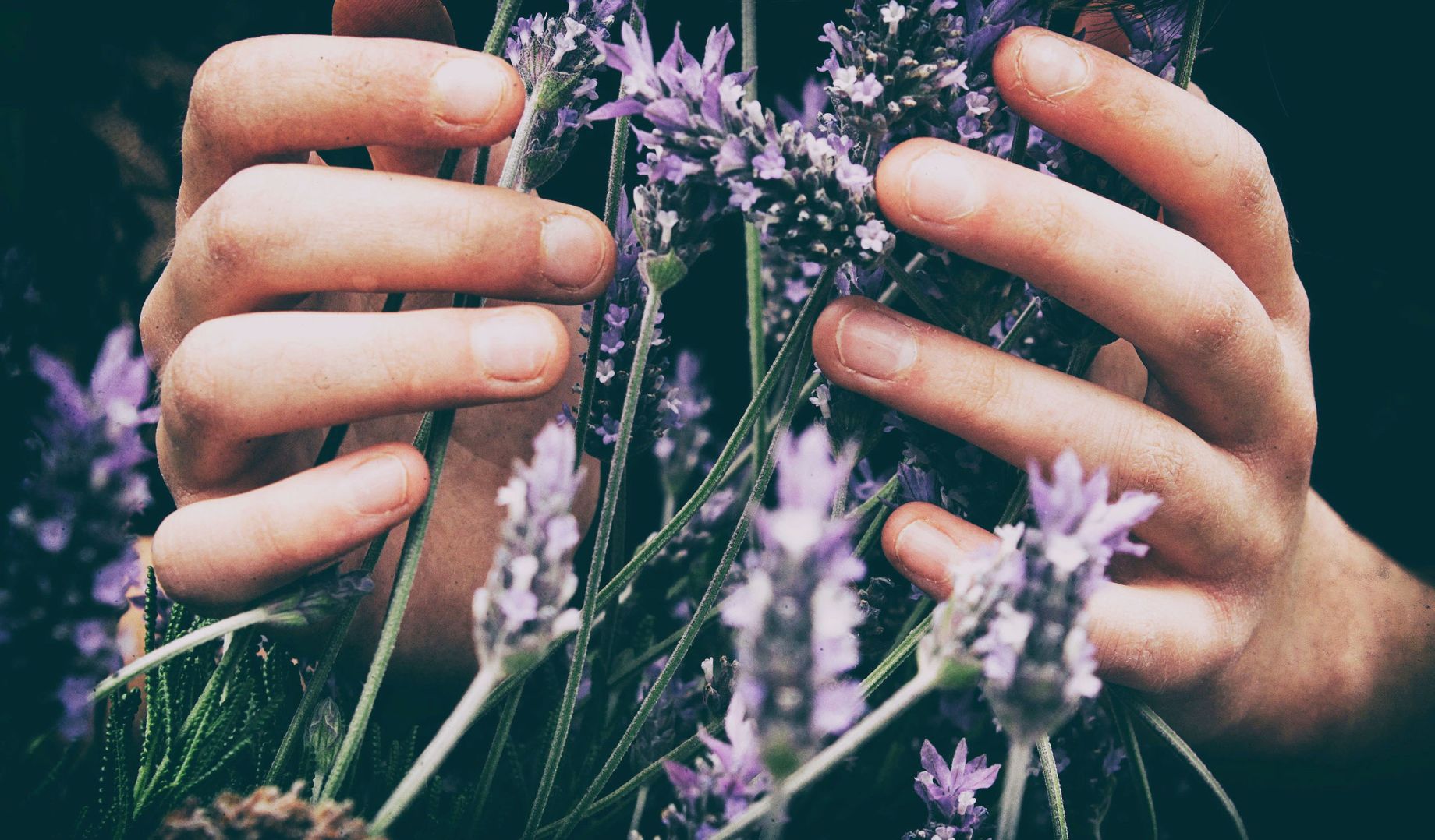 The Center for Aromatherapy Research and Education