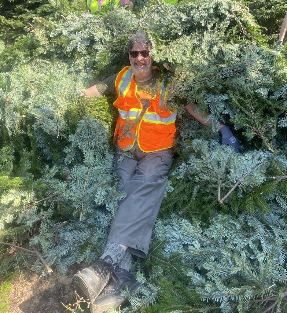 CARE Instructor Robert Teasdale, FCCI takes a rest from harvesting on a nice bed of Idaho grand fir boughs.